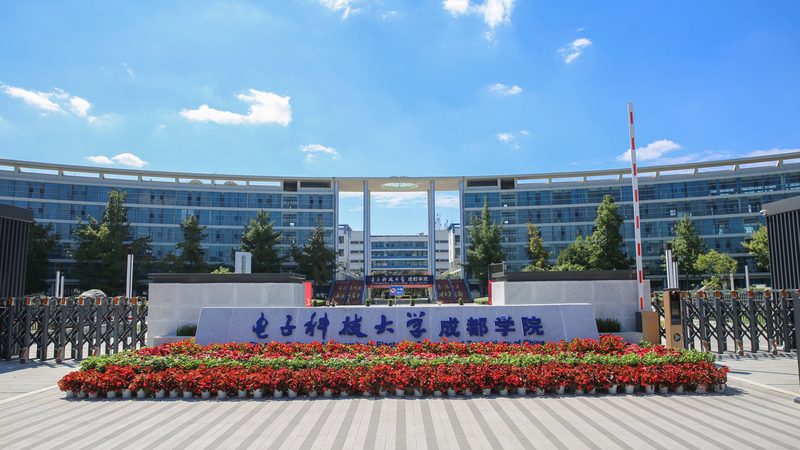 电子模块：揭秘其优缺点与选型要点**