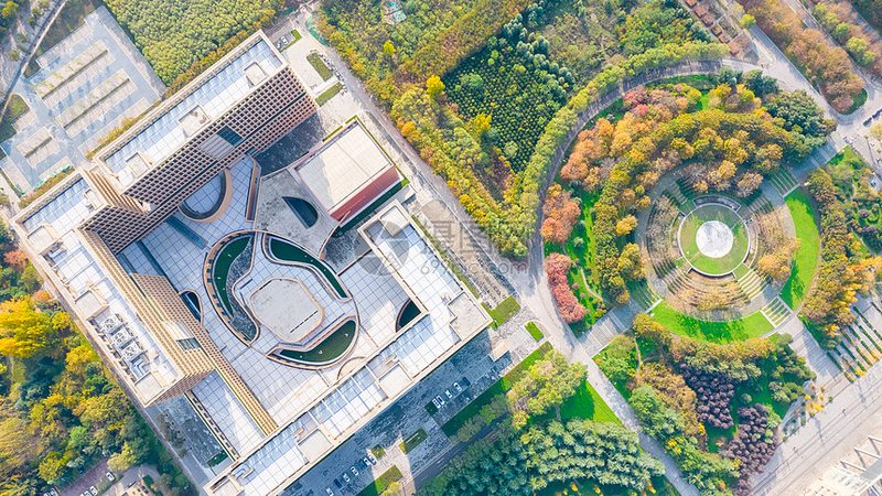 电子模块代工：揭秘优质代工企业的核心要素**
