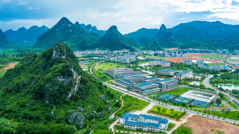 二极管整流桥接线图解：电路设计中的关键组件