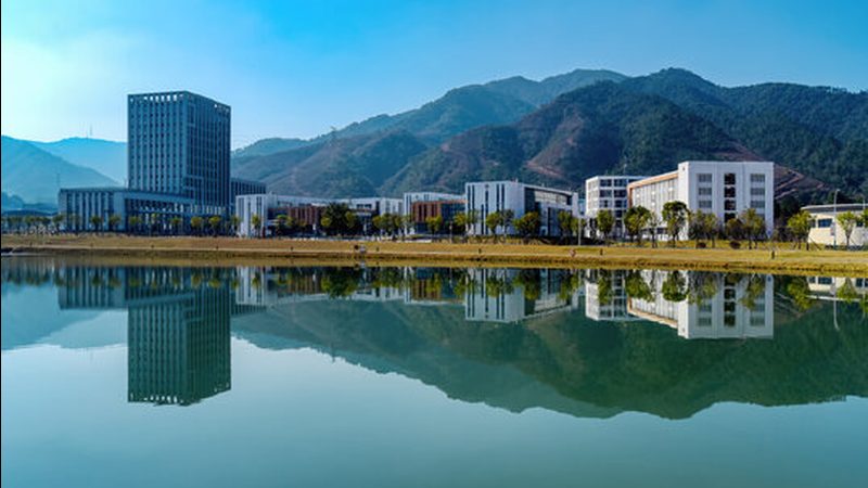 电解电容：揭秘高性价比品牌背后的秘密**
